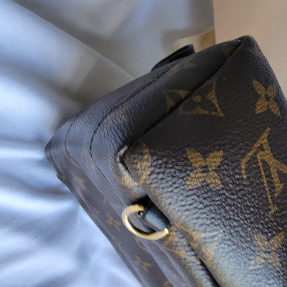 Louis Vuitton Palm Spring Mini Backpack - Picture 8 of 16